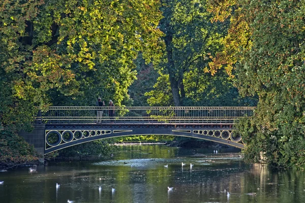 Podzim v parku Hofgarten v Düsseldorfu — Stock fotografie