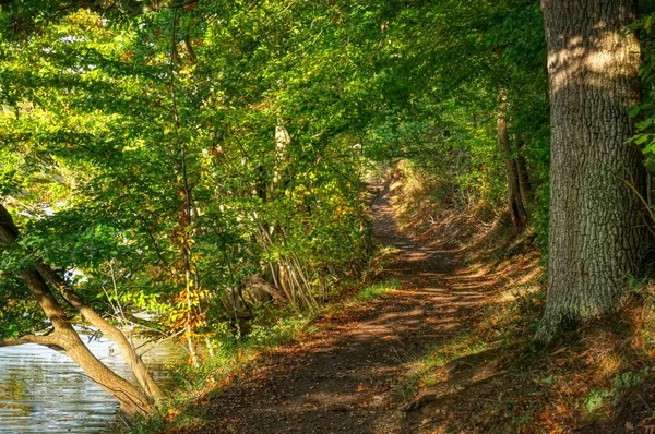 Eifel Dağlarındaki Rur Rezervuarının Kıyısında Patika — Stok fotoğraf