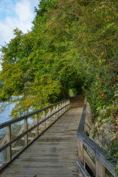 Holzwanderweg Der Rur Der Eifel — Stockfoto