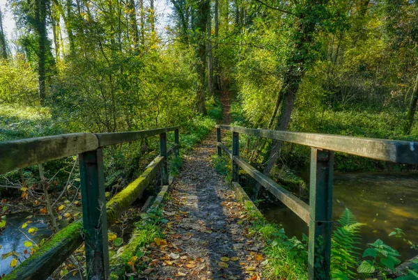 Bridge Hiking Trail Haan Gruiten — Stock Photo, Image