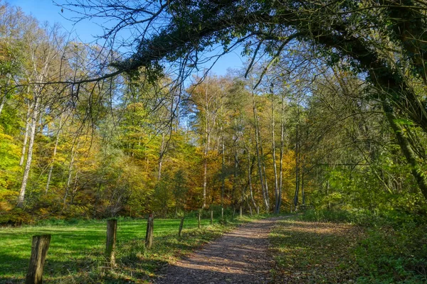 Haan Yakınlarındaki Ormanda Yürüyüş Parkurunda — Stok fotoğraf