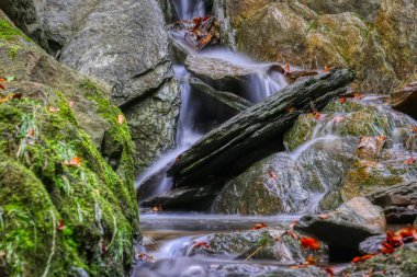 Almanya 'da Winterberg yakınlarındaki Schluchtenpfad yolunda küçük bir şelale.