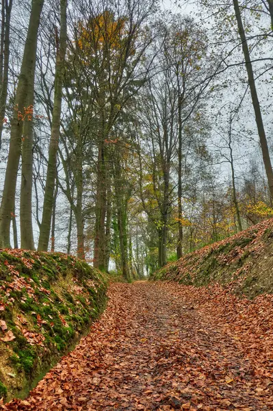 Okrągły Szlak Turystyczny Pobliżu Velbert Neviges Jesienią — Zdjęcie stockowe