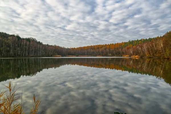 Пешие Прогулки Озере Оберзе Районе Озера Вилле Осенью — стоковое фото