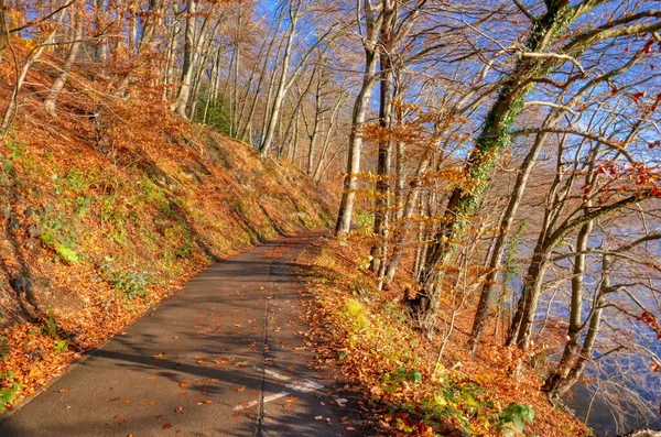 Szlak Turystyczny Lesie Nad Jeziorem Hengsteysee Rano — Zdjęcie stockowe