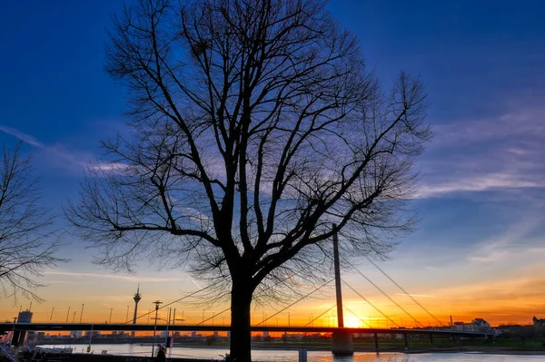 杜塞尔多夫的一座横跨莱茵河和日落天际的桥 — 图库照片