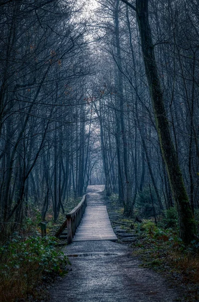 Solingen Ohligs Heathland Inde Yürüyüş Yolu — Stok fotoğraf