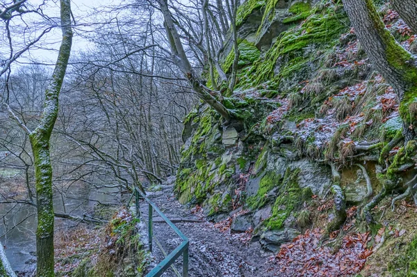 Sentiero Escursionistico Naturalistico Lungo Fiume Wupper Vicino Beyenburg — Foto Stock