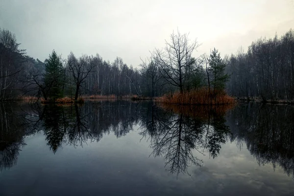 Lac Silencieux Dans Lande Solingen Ohligs Hiver — Photo