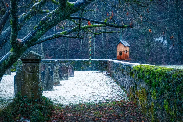 Solingen Burg的历史墓地 — 图库照片