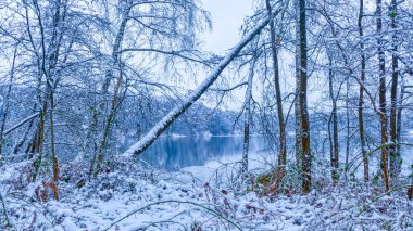Duisburg 'daki göl bölgesinde kar manzarası