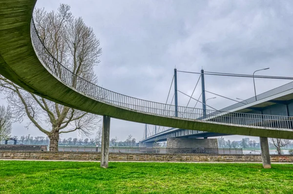 Rijnpark Rijnbrug Düsseldorf — Stockfoto