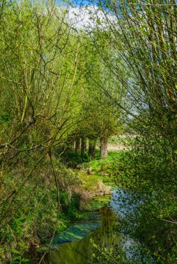 Mulheim Ruhr 'daki Saarner Aue Bölgesi' nde bir dere.