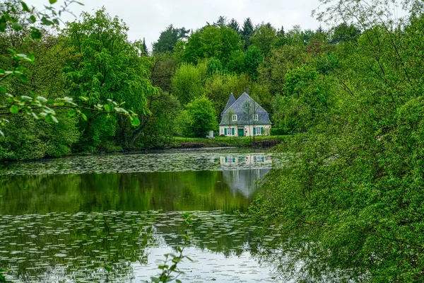 Lago Floresta Stadtwald Mettmann — Fotografia de Stock