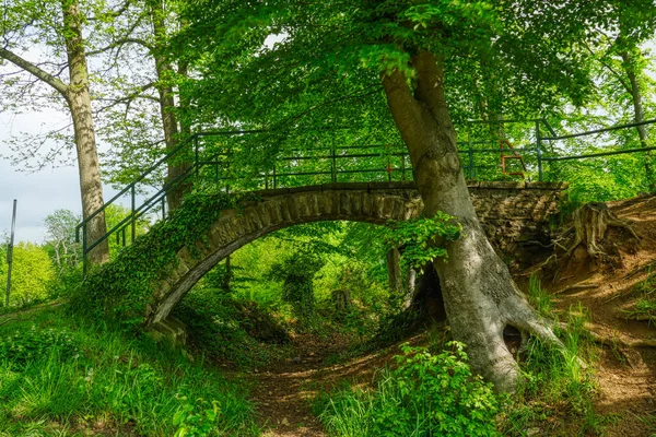 Puente Viejo Mirador Hattingen Blankenstein — Foto de Stock