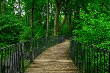 Hemer 'deki Felsenmeer coğrafyasında yürüyüş yolu.