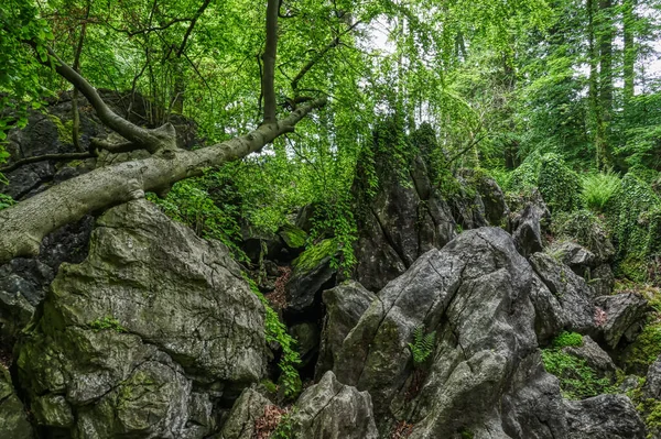 Hemer Deki Felsenmeer Coğrafyasında Kayalar — Stok fotoğraf