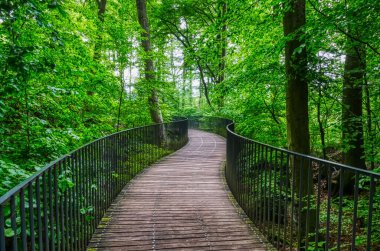 Hemer 'deki Felsenmeer kaya tarlasında kavisli ahşap geçit.
