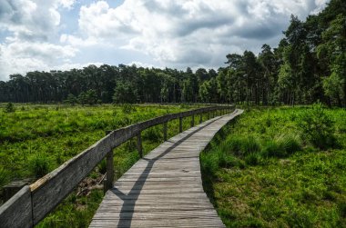 Diersfordt Veen kırlarında yürüyüş yolu