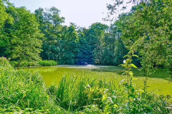 Lagoa Parque Duisburg Rheinhausen Verão — Fotografia de Stock