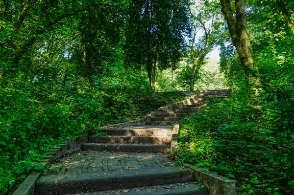 Caminho Escadas Parque Duisburg Rheinhausen Verão — Fotografia de Stock