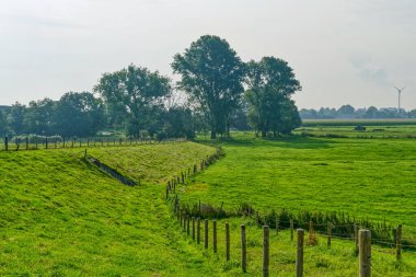 Dyke landscape in the Bislicher Insel nature reservation