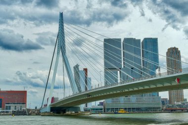 Rotterdam 'da Maas Köprüsü