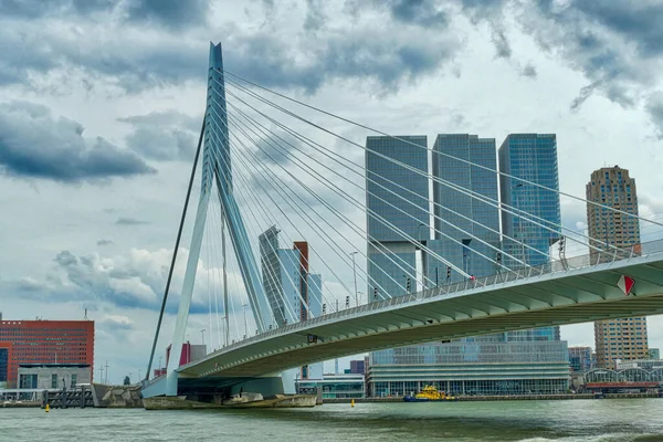 Híd Maas Folyón Rotterdamban — Stock Fotó