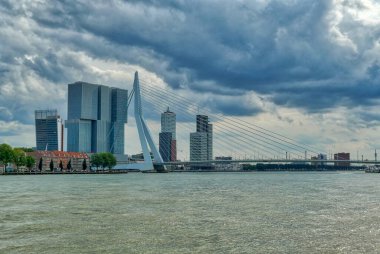 Rotterdam 'da Maas nehri boyunca uzanan Skyline ve köprü.