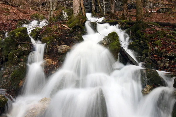 Waterfall on Konigsee lake — Stock Photo, Image