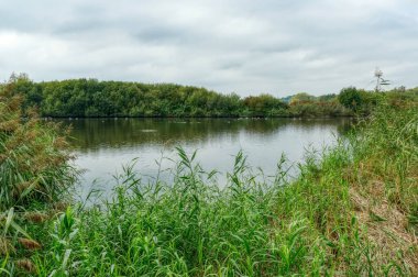 Beautiful pond landscape in the nature reservation in the irrigation fields near Munster