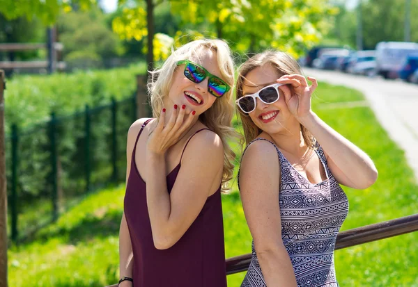 Twee vriendinnen plezier Rechtenvrije Stockfoto's