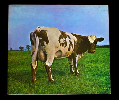 Pink Floyd