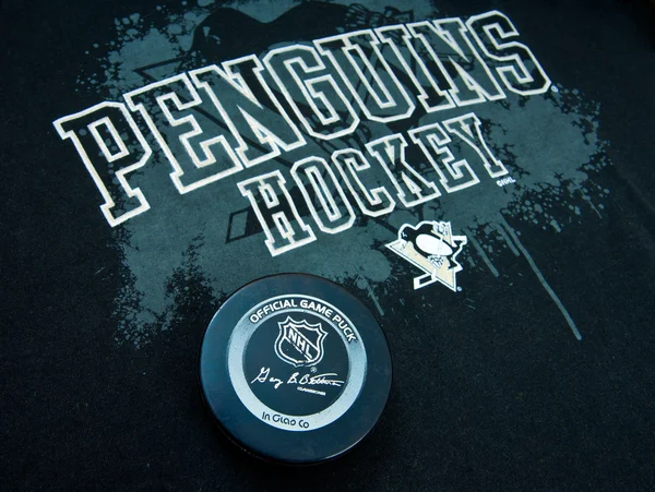 Pinguins de Pittsburgh — Fotografia de Stock