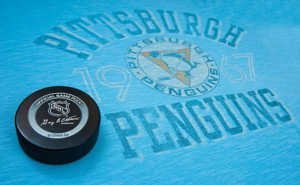 Pingüinos de Pittsburgh —  Fotos de Stock