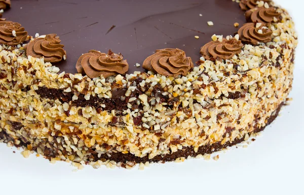 Homemade chocolate hazelnut cake — Stock Photo, Image