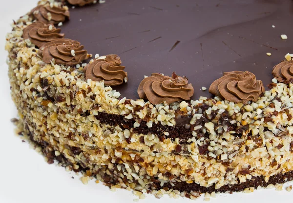 Homemade chocolate hazelnut cake — Stock Photo, Image