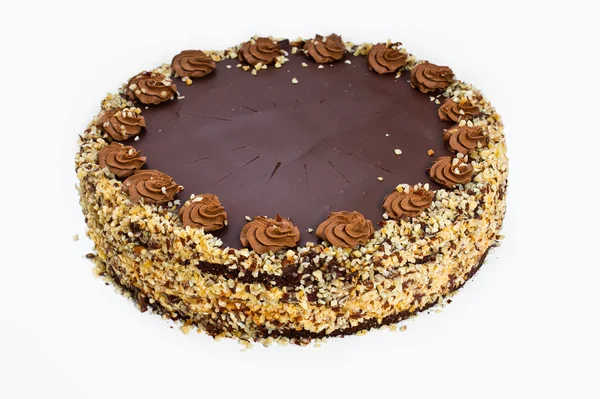 Homemade chocolate hazelnut cake — Stock Photo, Image