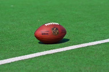 official NFL ball