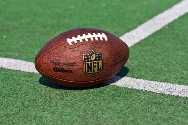 official NFL ball