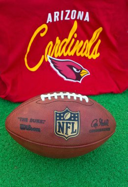 Arizona Cardinals Nfl