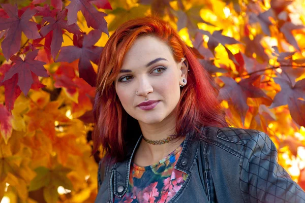秋の風景の美しい少女 — ストック写真