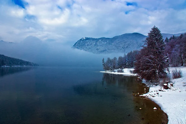 Lago no inverno Fotografias De Stock Royalty-Free