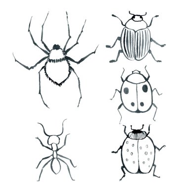 Mavi böcek, yabani böcekler, klasik suluboya çizimi, el çizimi doğal.