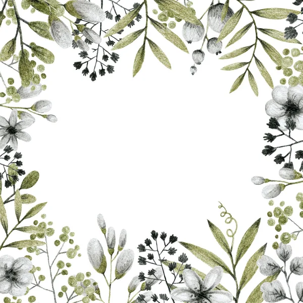 Green Gray Leaves Branches Flowers Freehand Drawing Pencil Illustration Frame — Stock Photo, Image