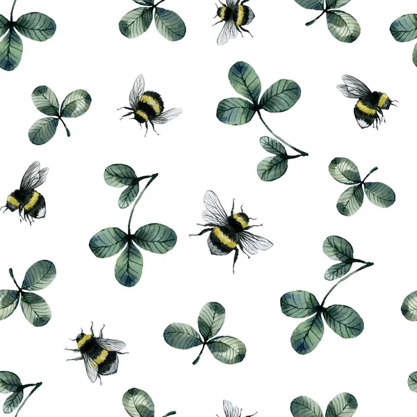 Клевер Шмель Акварель Зеленые Травяные Органические Природы Цветочный Бесшовный Рисунок — стоковое фото