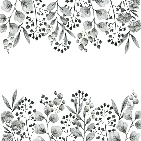 Gray Leaves Branches Flowers Freehand Drawing Pencil Illustration Frame Template — Stock Photo, Image