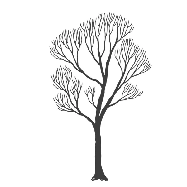 Árbol, muchas ramas, diseño de Halloween dibujo vectorial — Archivo Imágenes Vectoriales