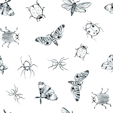 Mavi gece kelebeği, çivit kelebeği pürüzsüz desen, yabani böcekler, suluboya klasik çizimler.