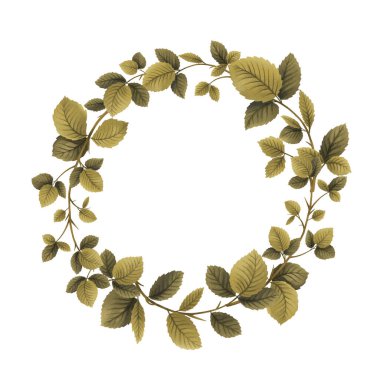 ahududu bitkisi, yapraklar dallanır ve böğürtlenler, şablon çerçevesi